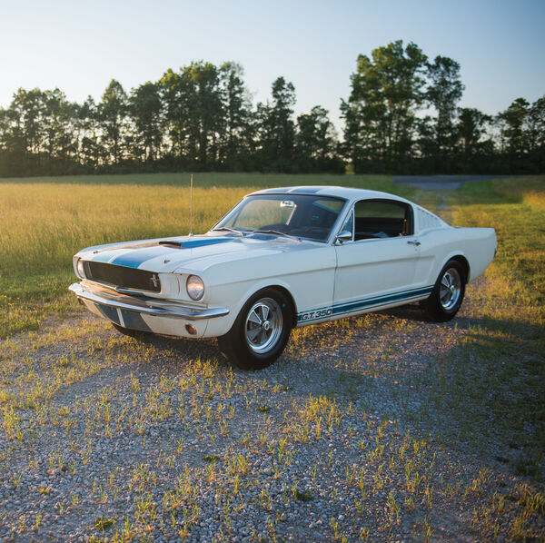 US-Car des Monats: Shelby Mustang GT350